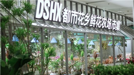 【都市花鄉(xiāng)】植耕長沙22年，讓人們的生活更加美好